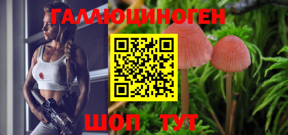 Галлюциногенные грибы Psilocybe  Галлюциногенные грибы Psilocybine cubensis  Вход с VPN  Новоуральск 
